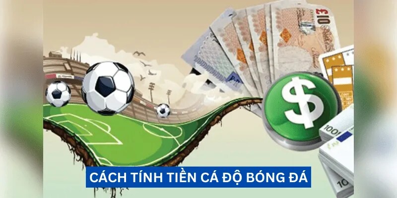 Cách Tính Tiền Cá Độ Bóng Đá Cho Newbie Trong Cộng Đồng 1 Cách Tính Tiền Cá Độ Bóng Đá Cho Newbie Cộng Đồng 77Bet