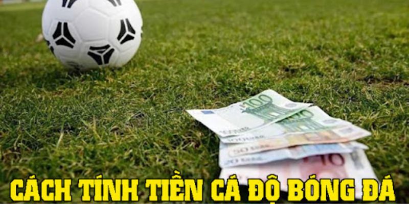 Cách Tính Tiền Cá Độ Bóng Đá Cho Newbie Trong Cộng Đồng 2 Khái niệm về cá độ bóng đá