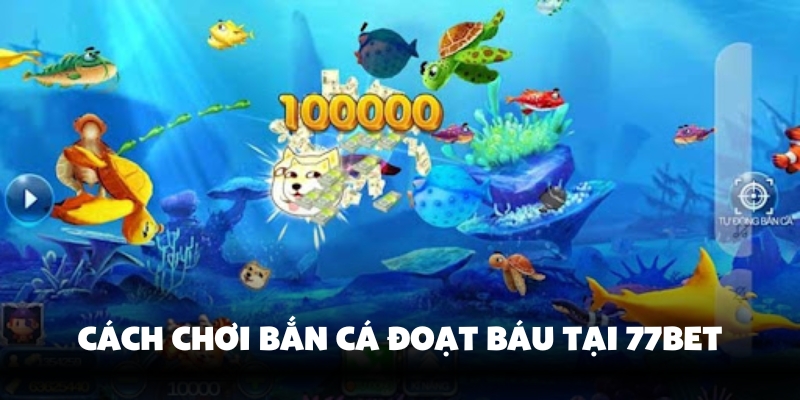 Hướng dẫn từng bước bắn c&aacute;