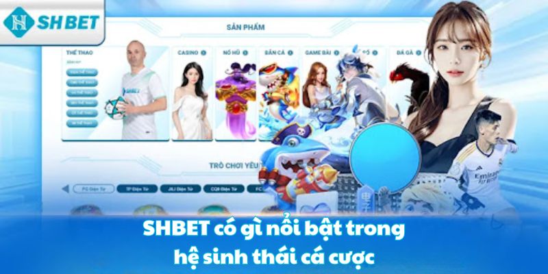 SHBET có gì nổi bật trong hệ sinh thái cá cược SHBET có gì nổi bật trong hệ sinh thái cá cược