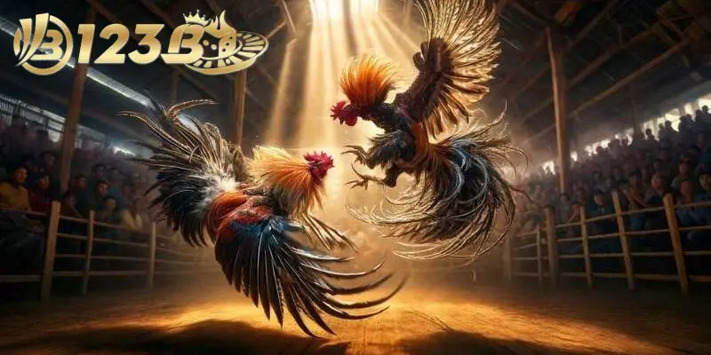 Đ&aacute; g&agrave; tre loại h&igrave;nh phổ biến được y&ecirc;u th&iacute;ch nhất